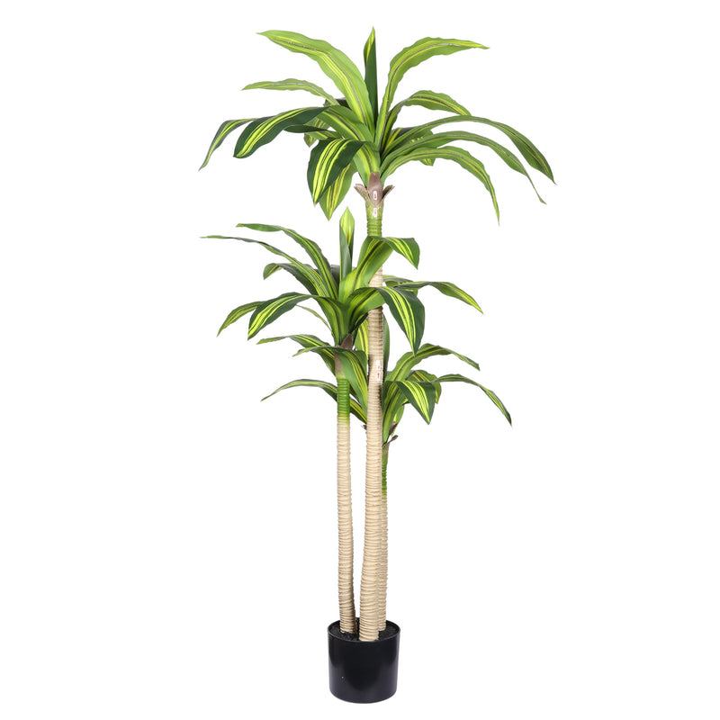 5' Artificial Dracaena Tree with Black Plastic Pot, 1pc/set