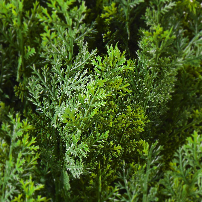 2 Pack 4' Artificial Cedar Topiary Tree Faux Plant UV Decor In/Outdoor