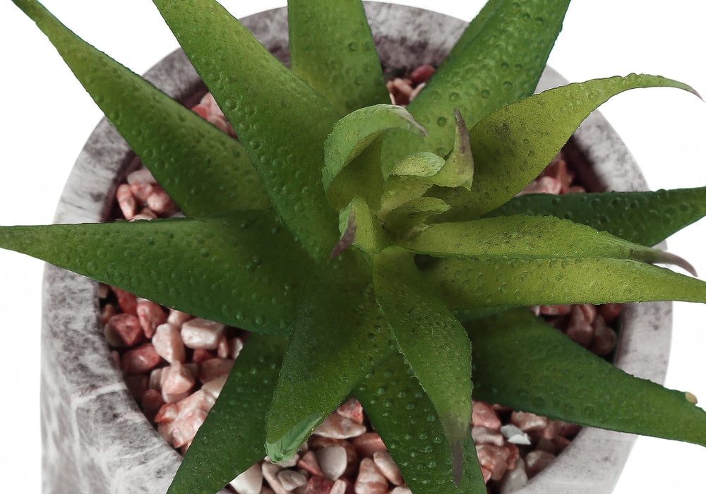 Artificial Plant, 6' Tall, Succulent, Indoor, Faux, Fake, Table, Greenery, Potted, Set Of 2, Decorative, Green Leaves, Grey Cement Pots Media 6