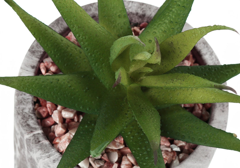 Artificial Plant, 6' Tall, Succulent, Indoor, Faux, Fake, Table, Greenery, Potted, Set Of 2, Decorative, Green Leaves, Grey Cement Pots