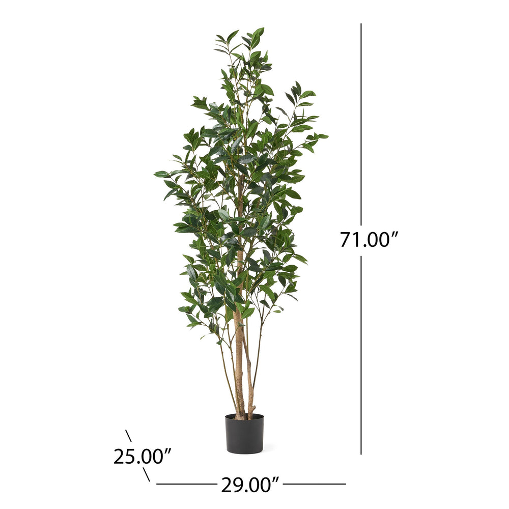 180CM ARTIFICIAL LAUREL TREE Media 4