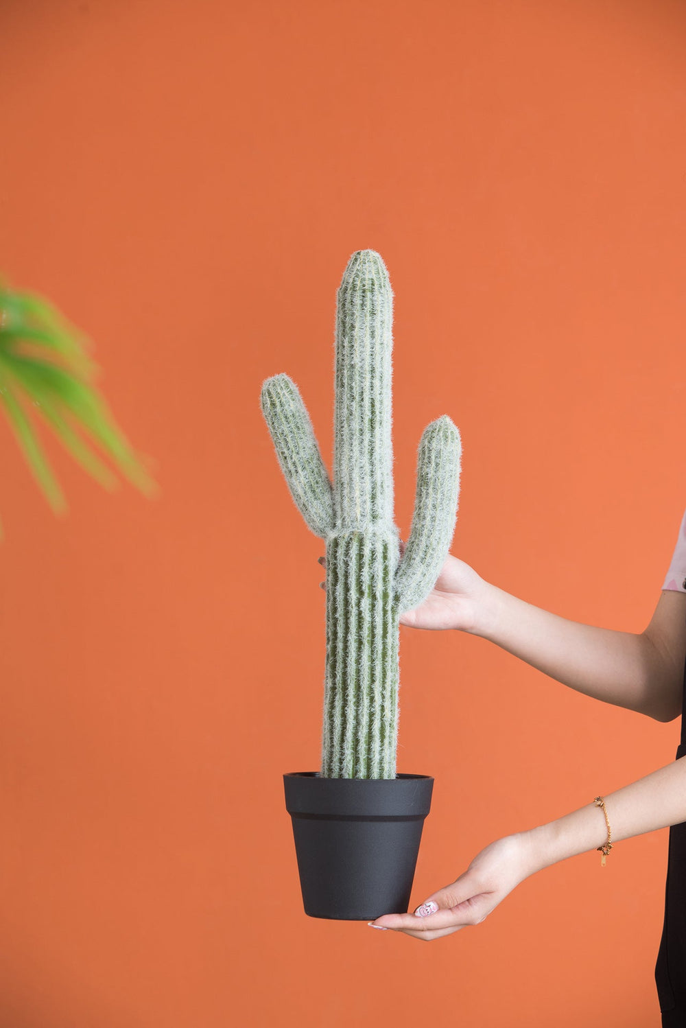 8x5x24.5'H Artificial Saguaro Cactus in Black Pot Media 1