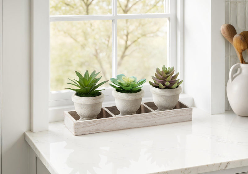 Artificial Plant, Set Of 3, 6' Tall, Succulent, Table, Beige Pots, Contemporary, Modern