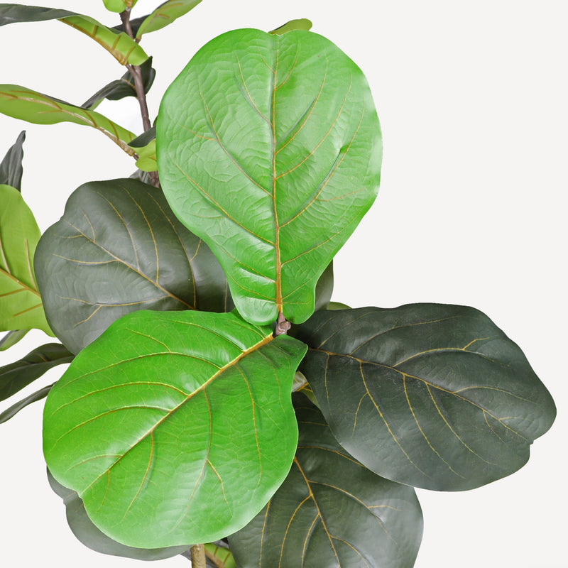 7' Artificial Fiddle Leaf Fig Tree in Black Plastic Pot