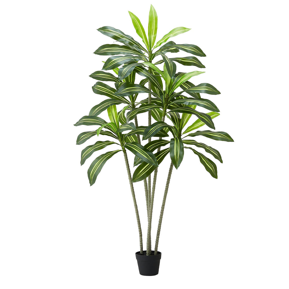 6ft Artificial Dracaena Tree Fake Plant with White Planter Indoor Media 6