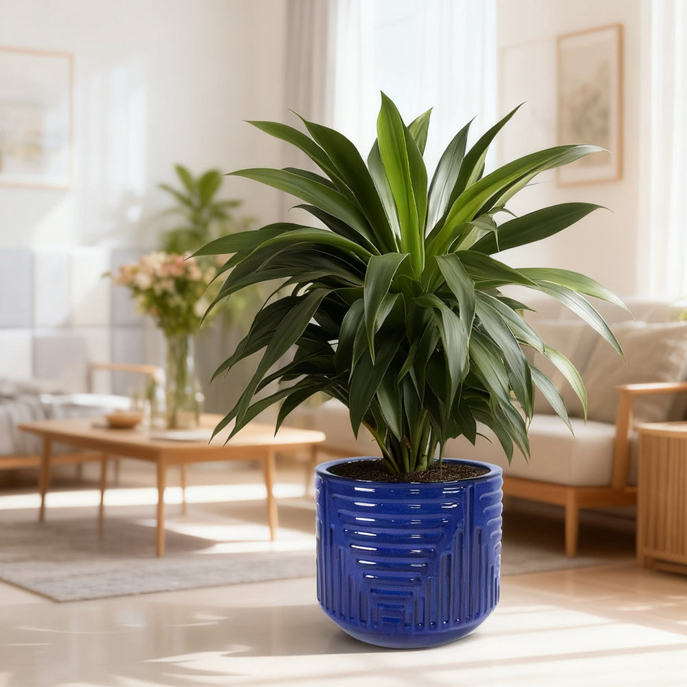16' Dia Round Planters for Indoor Plants, Large Outdoor Planters with Drainage Holes, Ceramic Plant Pots Indoor & Outdoor for Home Garden Patio - Dark Blue Media 2