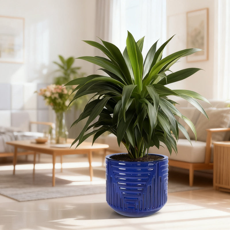 16' Dia Round Planters for Indoor Plants, Large Outdoor Planters with Drainage Holes, Ceramic Plant Pots Indoor & Outdoor for Home Garden Patio - Dark Blue