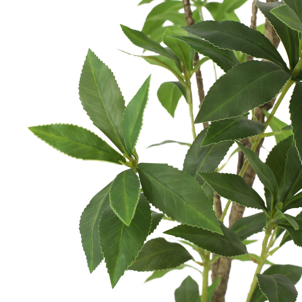 120CMARTIFICIAL PIERIS TREE Media 6