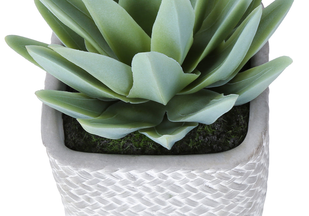 Artificial Plant, Set Of 2, 8' Tall, Succulent, Table, Grey Cement Pots, Contemporary, Modern Media 6