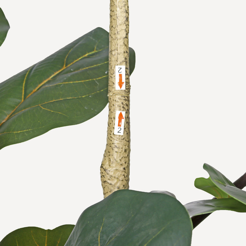 7' Artificial Fiddle Leaf Fig Tree in Black Plastic Pot
