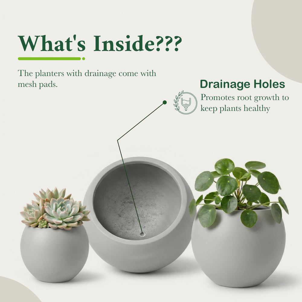 DTY Fiberstone Globe Planter Indoor Outdoor — Lightweight Sphere Ball Pot for Olive Tree, Monstera & Palm | Fiberglass Stone | UV Resistant, Drainage Hole | 2 Coco Mats | Black | 12.6