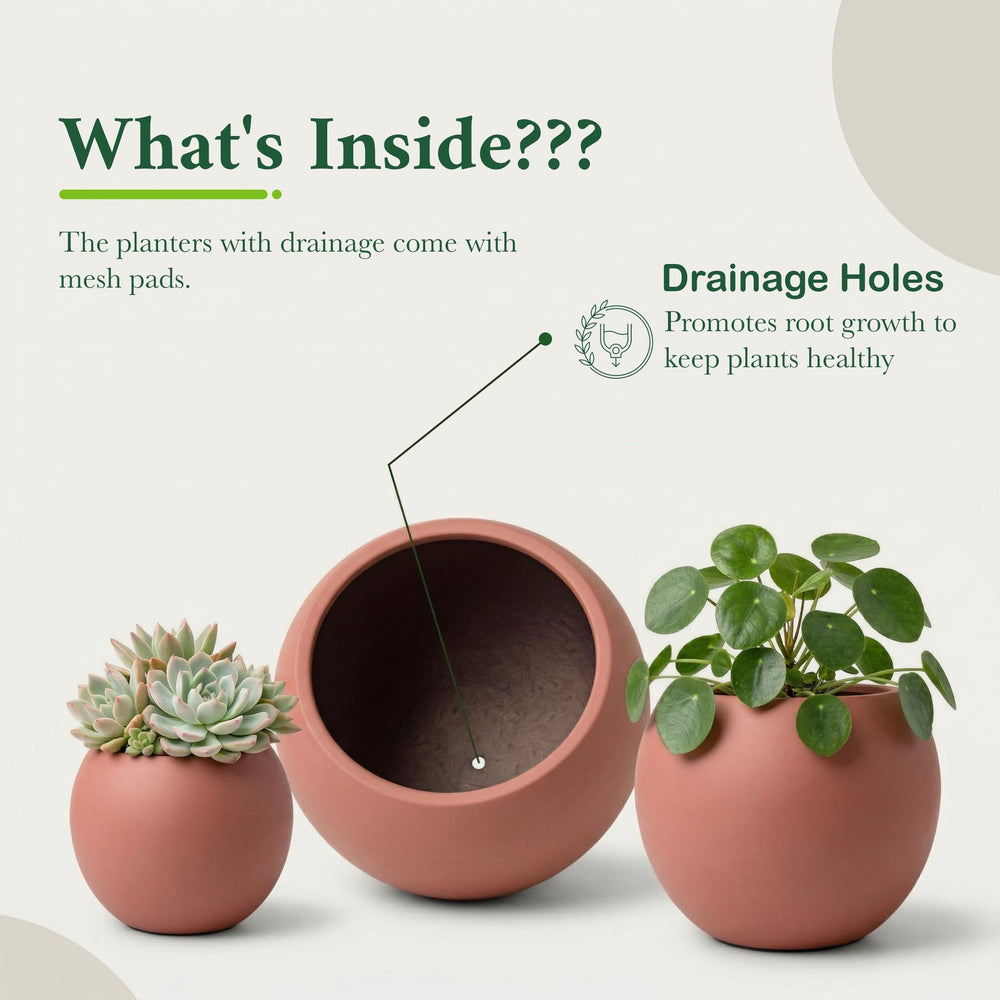 DTY Fiberstone Globe Planter Indoor Outdoor — Lightweight Sphere Ball Pot for Olive Tree, Monstera & Palm | Fiberglass Stone | UV Resistant, Drainage Hole | 2 Coco Mats | Black | 12.6