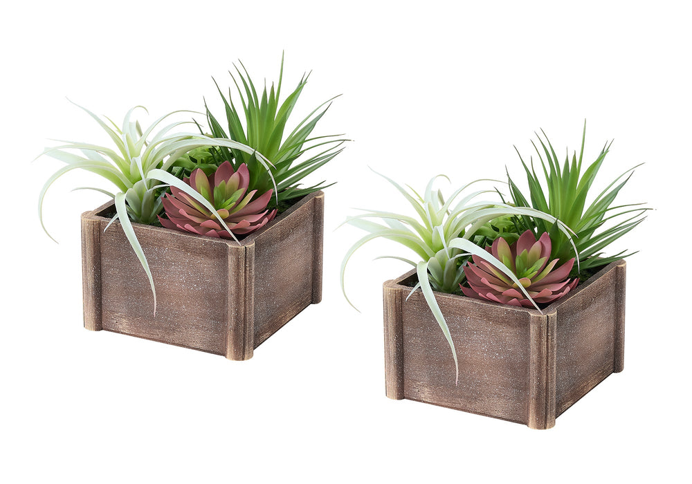 Artificial Plant, Set Of 2, 10' Tall, Succulent, Table, Brown Wooden Pots, Contemporary, Modern Media 2