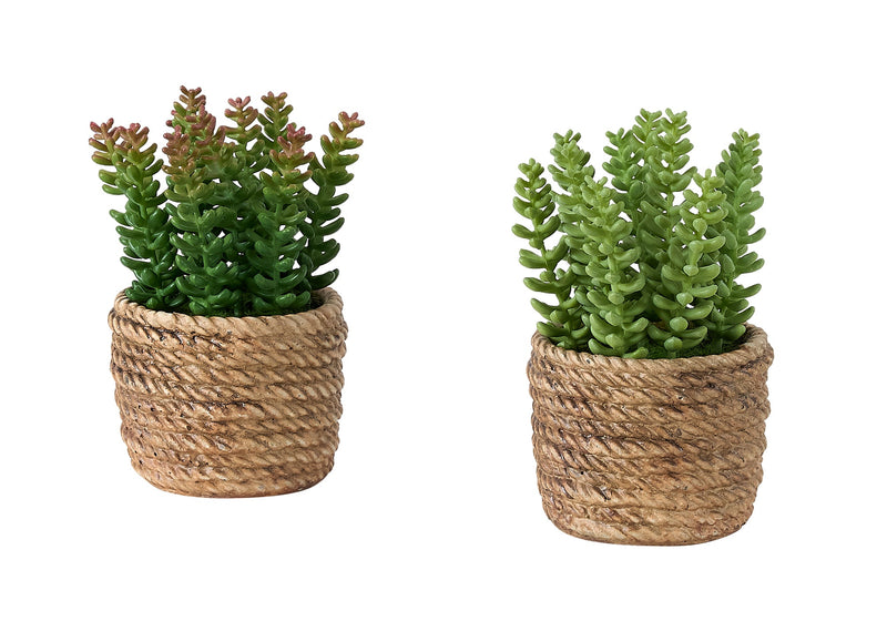 Artificial Plant, Set Of 2, 7' Tall, Succulent, Table, Brown Cement Pots, Contemporary, Modern