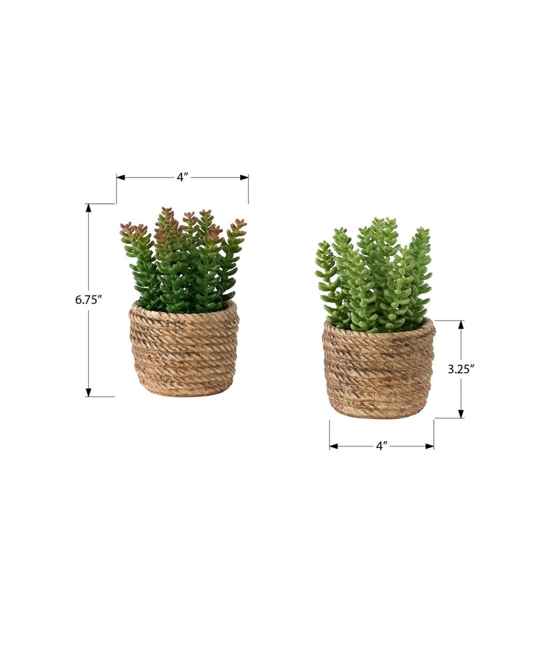 Artificial Plant, Set Of 2, 7' Tall, Succulent, Table, Brown Cement Pots, Contemporary, Modern