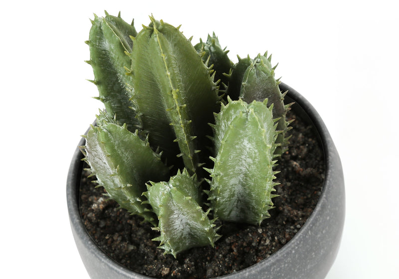 Artificial Plant, 6' Tall, Succulent, Indoor, Faux, Fake, Table, Greenery, Potted, Set Of 3, Decorative, Green Plants, Grey Cement Pots