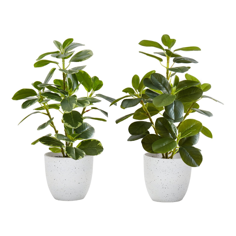 Artificial Ficus Plant Set of 2, 14 Inch Tall Indoor Decorative Table Potted Greenery with White Speckled Pots, Green Leaves, Plastic, 9x10x14 Inches Media 1