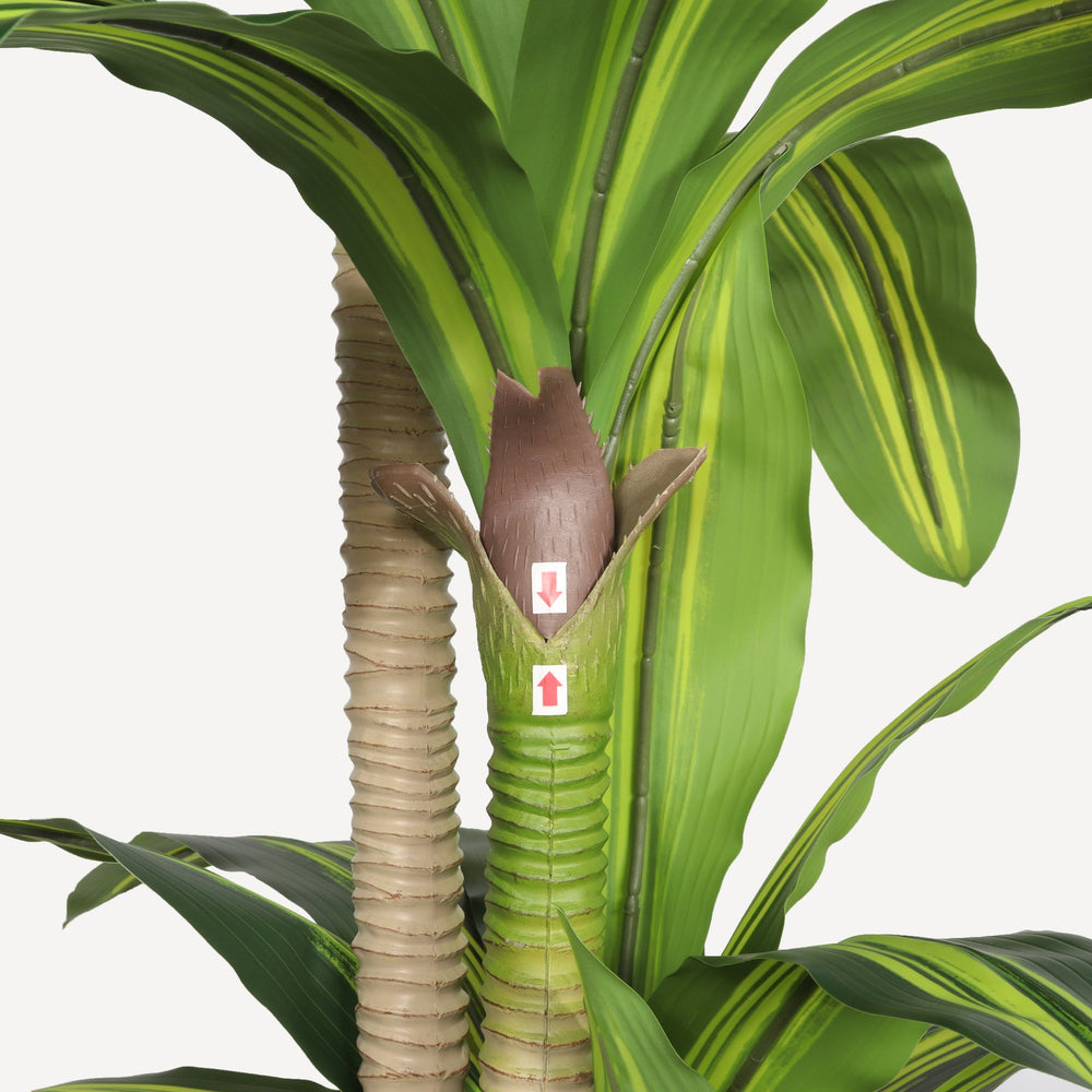 6' Artificial Dracaena Tree with Black Plastic Pot Media 10