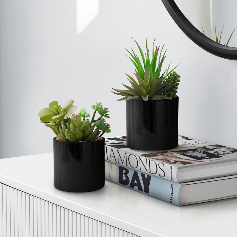 Artificial Succulent Plants Set of 2, Green Faux Indoor Potted Decor in Glossy Black Pots, Realistic Greenery for Table or Shelf