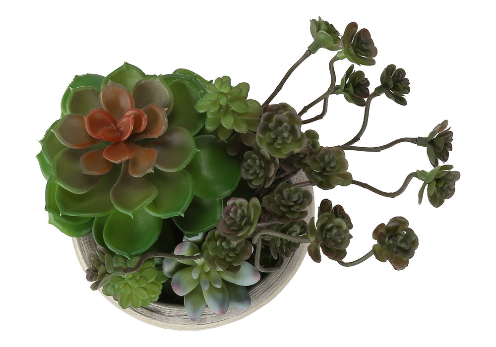 Artificial Plant, Set Of 2, 9' Tall, Succulent, Table, Beige Cement Pots, Contemporary, Modern Media 3