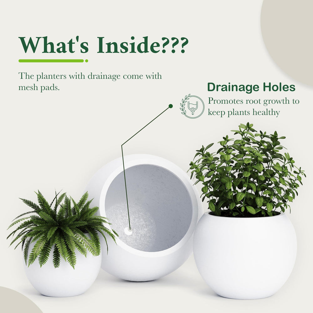 DTY Fiberstone Globe Planter Indoor Outdoor — Lightweight Sphere Ball Pot for Olive Tree, Monstera & Palm | Fiberglass Stone | UV Resistant, Drainage Hole | 2 Coco Mats | Black | 12.6