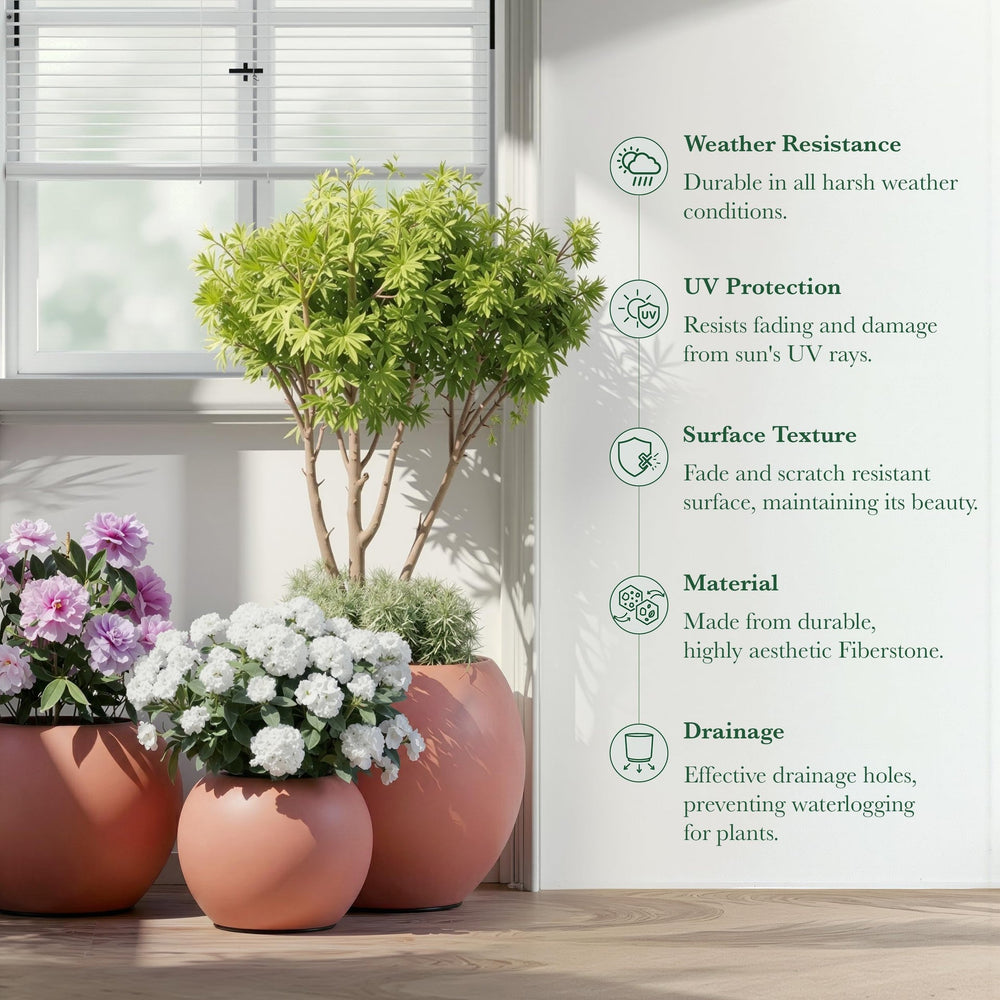 DTY Fiberstone Globe Planter Indoor Outdoor — Lightweight Sphere Ball Pot for Olive Tree, Monstera & Palm | Fiberglass Stone | UV Resistant, Drainage Hole | 2 Coco Mats | Black | 12.6