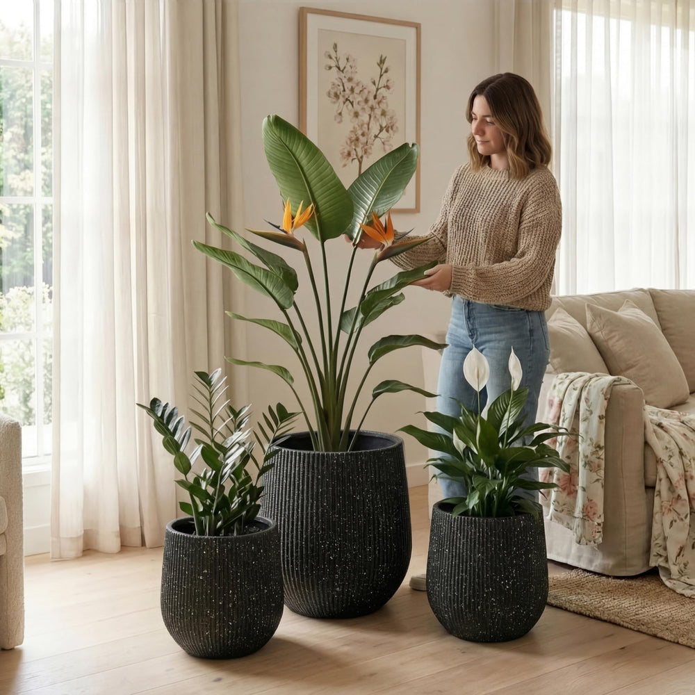 DTY Signature Mount Wilson Modern Indoor Outdoor Fiberstone Tapered Planter, Lightweight, Weather Resistant Garden Pot with Drainage Hole & Rubber Plug (Black, 11'' D x 12'' H) Media 59