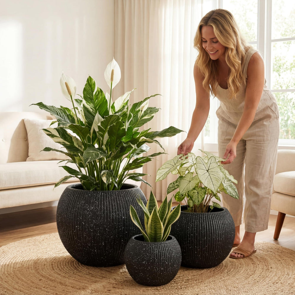 DTY Fiberstone Globe Planter Indoor Outdoor — Lightweight Sphere Ball Pot for Olive Tree, Monstera & Palm | Fiberglass Stone | UV Resistant, Drainage Hole | 2 Coco Mats | Black | 12.6