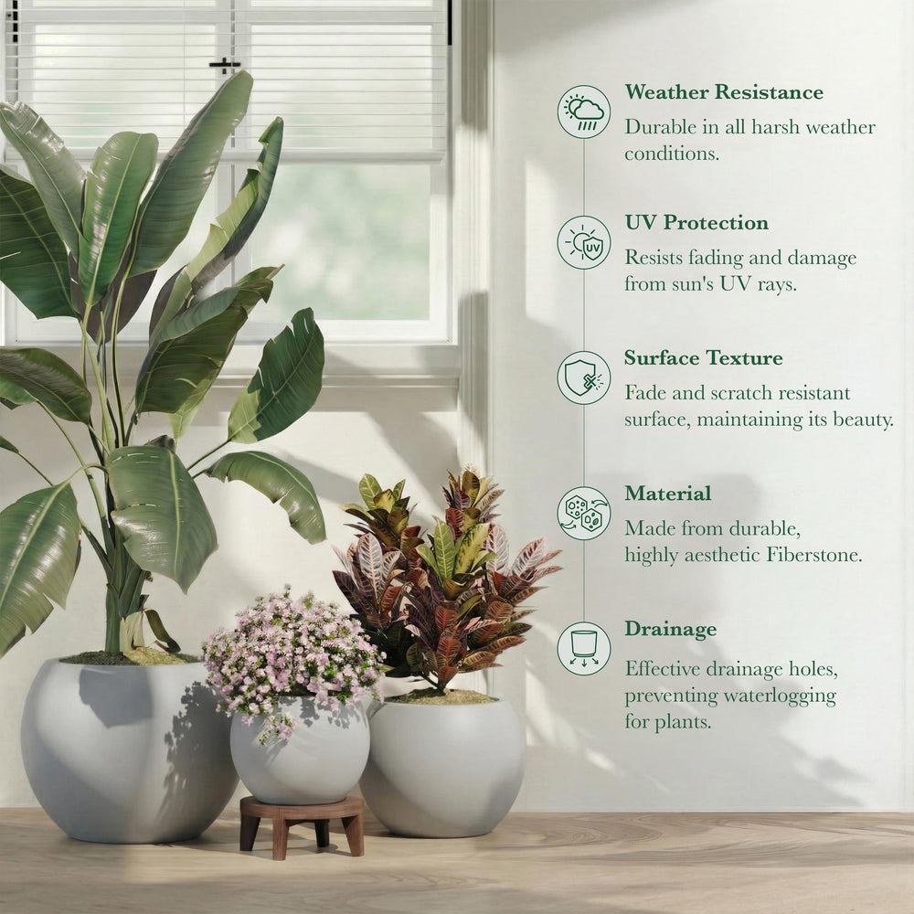 DTY Fiberstone Globe Planter Indoor Outdoor — Lightweight Sphere Ball Pot for Olive Tree, Monstera & Palm | Fiberglass Stone | UV Resistant, Drainage Hole | 2 Coco Mats | Black | 12.6