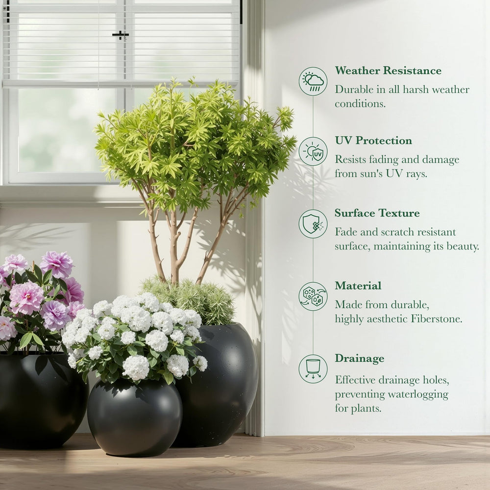 DTY Fiberstone Globe Planter Indoor Outdoor — Lightweight Sphere Ball Pot for Olive Tree, Monstera & Palm | Fiberglass Stone | UV Resistant, Drainage Hole | 2 Coco Mats | Black | 12.6