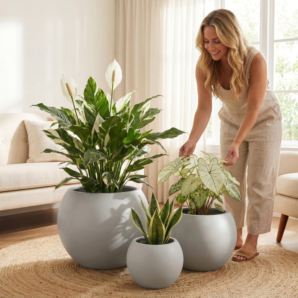 DTY Fiberstone Globe Planter Indoor Outdoor — Lightweight Sphere Ball Pot for Olive Tree, Monstera & Palm | Fiberglass Stone | UV Resistant, Drainage Hole | 2 Coco Mats | Black | 12.6