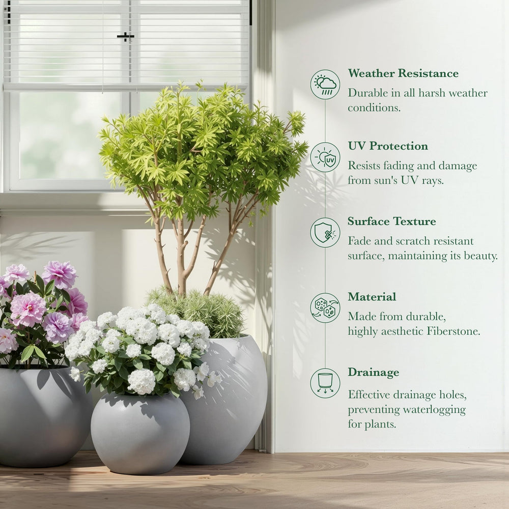 DTY Fiberstone Globe Planter Indoor Outdoor — Lightweight Sphere Ball Pot for Olive Tree, Monstera & Palm | Fiberglass Stone | UV Resistant, Drainage Hole | 2 Coco Mats | Black | 12.6