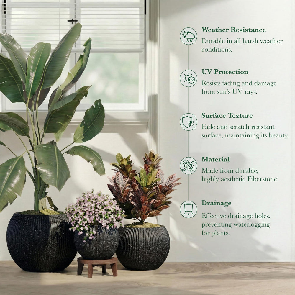 DTY Fiberstone Globe Planter Indoor Outdoor — Lightweight Sphere Ball Pot for Olive Tree, Monstera & Palm | Fiberglass Stone | UV Resistant, Drainage Hole | 2 Coco Mats | Black | 12.6