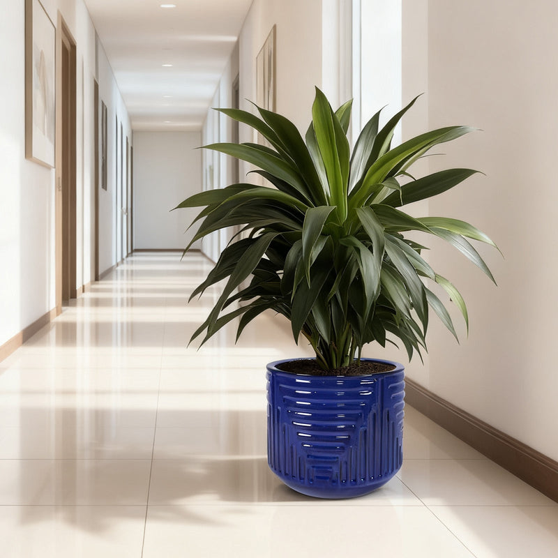 16' Dia Round Planters for Indoor Plants, Large Outdoor Planters with Drainage Holes, Ceramic Plant Pots Indoor & Outdoor for Home Garden Patio - Dark Blue