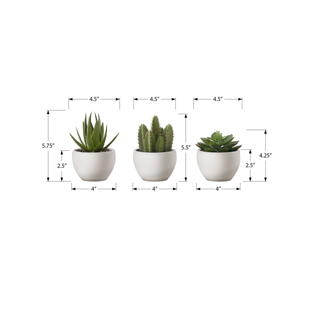 Artificial Succulent Plants Set of 3, 6' Tall, Green Faux Indoor Decor in White Pots, Plastic, Tabletop Greenery Media 3
