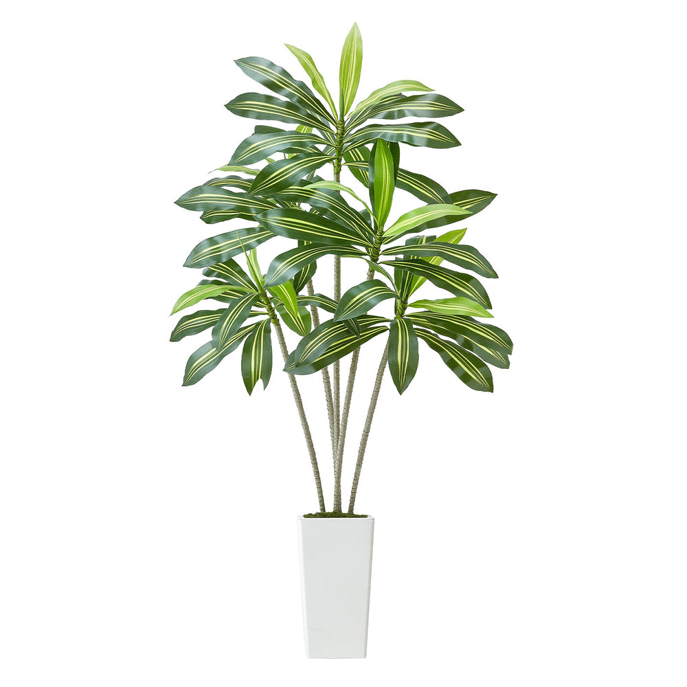 6ft Artificial Dracaena Tree Fake Plant with White Planter Indoor Media 10
