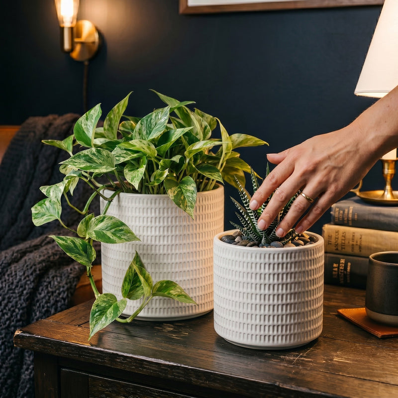 S/2 Textured White Ceramic Planters