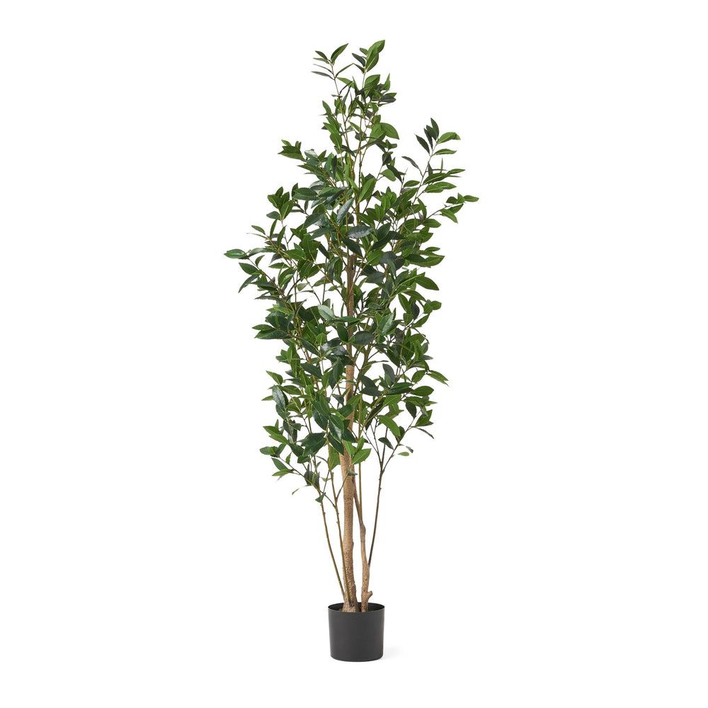 180CM ARTIFICIAL LAUREL TREE Media 2