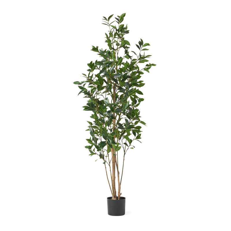 180CM ARTIFICIAL LAUREL TREE