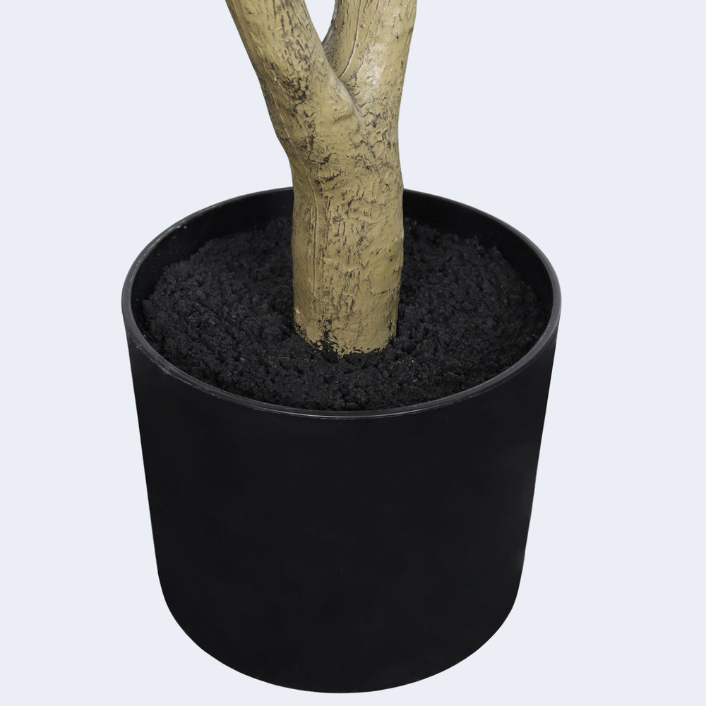 6' Artificial  Olive Tree in Plastic Black Pot, 1pc/set Media 11