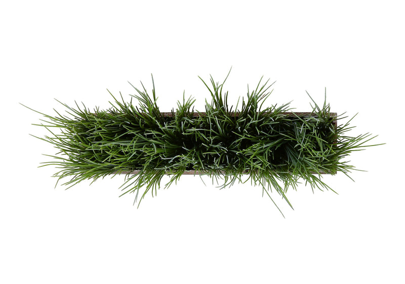 Artificial Plant, 12' Tall, Grass, Table, Brown Wood Pot, Contemporary, Modern