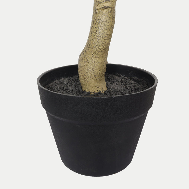 7FT Artificial Black Olive Tree with Black Plastic Pot, Realistic Tall Fake Plant for Indoor Home Living Room Corner Decoration, 1pc/set