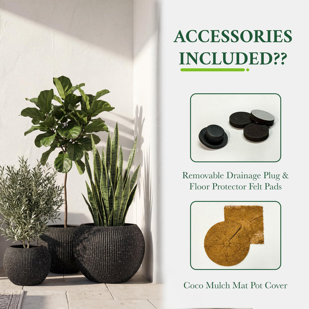 DTY Fiberstone Globe Planter Indoor Outdoor — Lightweight Sphere Ball Pot for Olive Tree, Monstera & Palm | Fiberglass Stone | UV Resistant, Drainage Hole | 2 Coco Mats | Black | 12.6