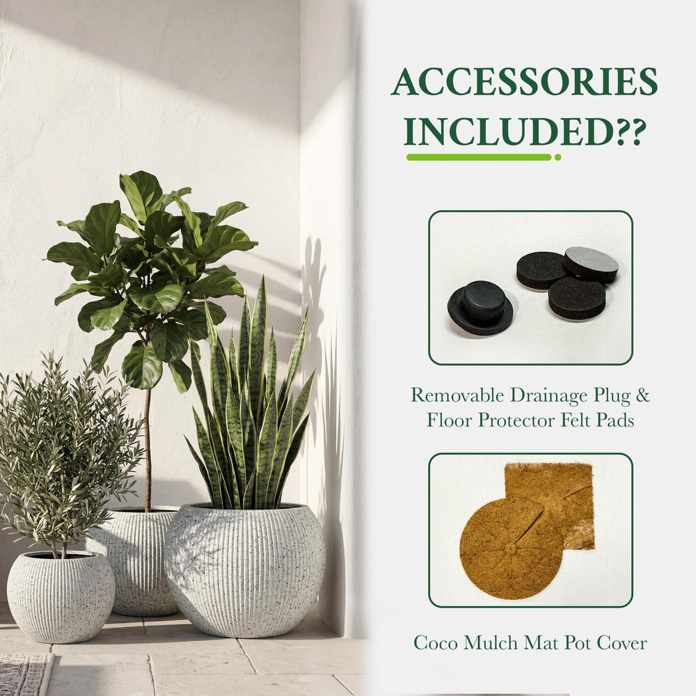 DTY Fiberstone Globe Planter Indoor Outdoor — Lightweight Sphere Ball Pot for Olive Tree, Monstera & Palm | Fiberglass Stone | UV Resistant, Drainage Hole | 2 Coco Mats | Black | 12.6