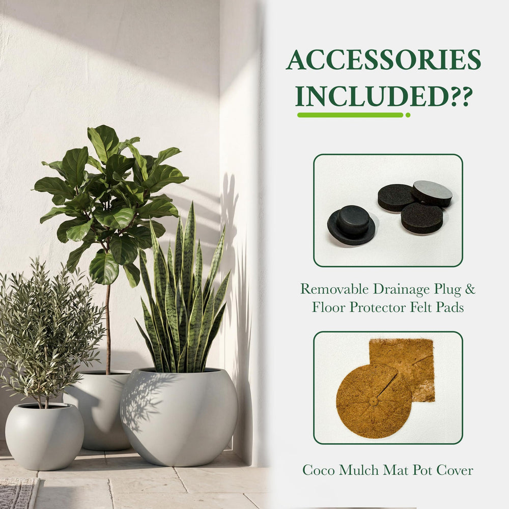 DTY Fiberstone Globe Planter Indoor Outdoor — Lightweight Sphere Ball Pot for Olive Tree, Monstera & Palm | Fiberglass Stone | UV Resistant, Drainage Hole | 2 Coco Mats | Black | 12.6