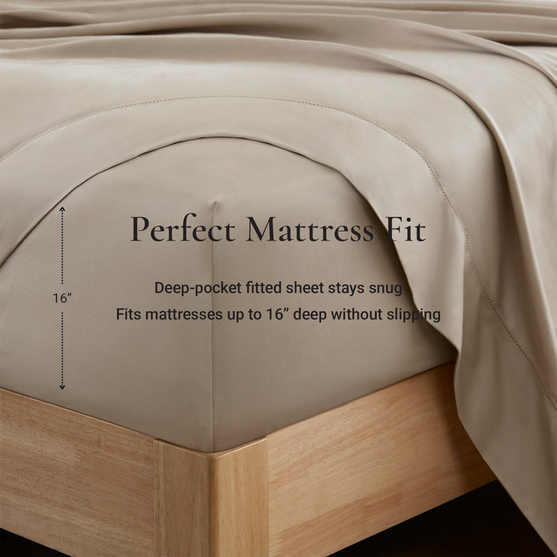 Cotton Sheet Set
