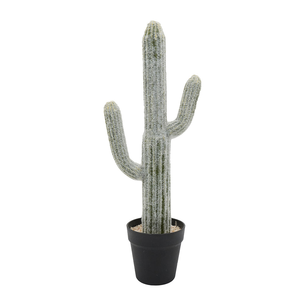 8x5x24.5'H Artificial Saguaro Cactus in Black Pot Media 2