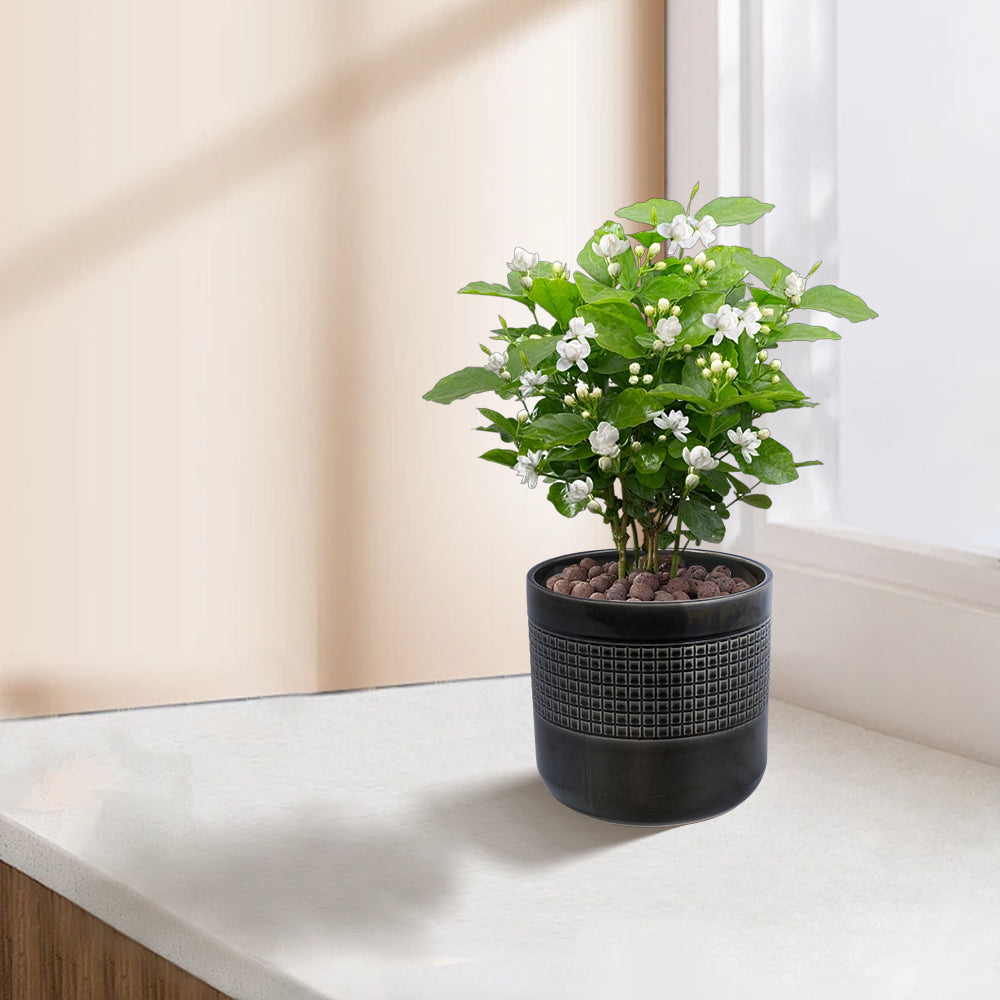 Handmade Black Glazed Ceramic Planter Set of 3, 9' 7' 6' Diameter, Grid Pattern, for Succulents & Cacti Indoor/Outdoor Shelf & Table Use, Porous Clay with Drainage Holes Media 2