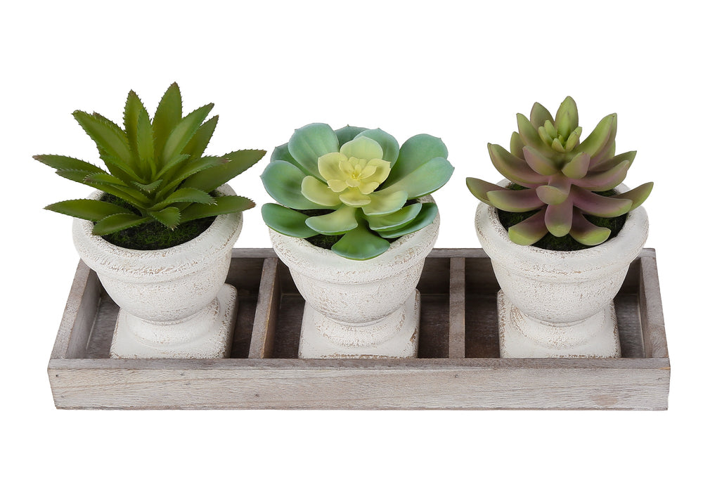 Artificial Plant, Set Of 3, 6' Tall, Succulent, Table, Beige Pots, Contemporary, Modern Media 4