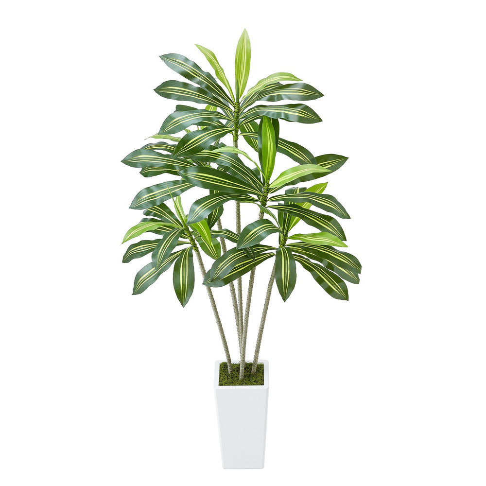 6ft Artificial Dracaena Tree Fake Plant with White Planter Indoor Media 1